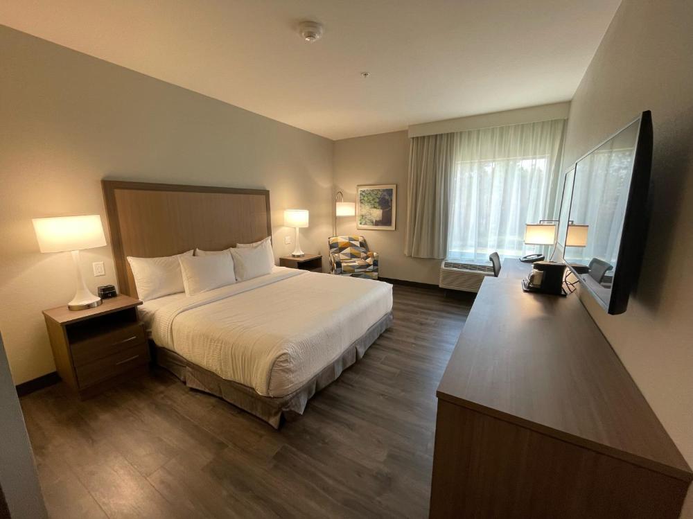 King Room with Mobility/Hearing Access and Roll-In Shower - Non-Smoking interior